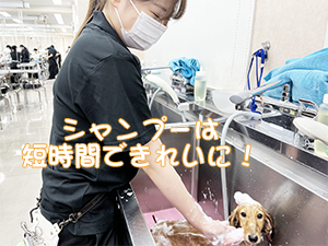 １年生のトリミング実習♪